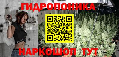 ECSTASY Новокубанск