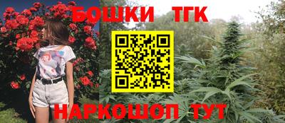 соль ск Будённовск